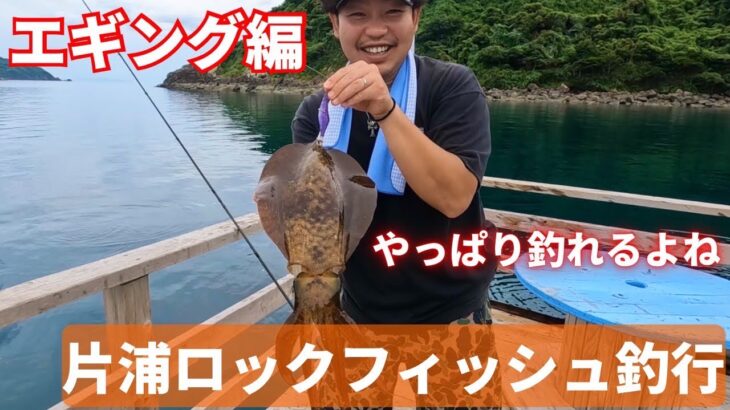 片浦ロックフィッシュ釣行エギング編‼︎やはりエギンガーには神のイカダだった？