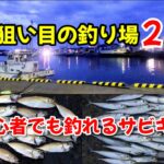 【サビキ釣り】狙い目の釣り場２選!!陸っぱりアジ釣り。座ってアジが爆釣した釣り方、仕掛け、道具も紹介します‼