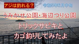 朝マズメのサビキ釣りでアジを釣る（うみかぜ公園・海辺つり公園　カゴ釣りもやります）