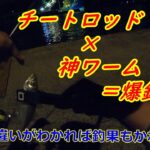 【アジング】チートロッド×神ワーム＝爆釣！？　違いがわかれば釣果もかわる！パターンさえ掴めばこのセットは最強じゃね！？