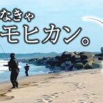 【ヒラメ釣り】釣れなきゃモヒカンになれる栄誉ある罰ゲームが後に控えていると、本気になりヒラメが連発してしまう。