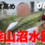 【埼玉バス釣りポイント】難易度高めの柴山沼に挑戦！【ブラックバス】