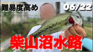 【埼玉バス釣りポイント】難易度高めの柴山沼に挑戦！【ブラックバス】