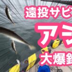 【釣り】初心者向け！遠投サビキでアジ釣りを楽しもう！【爆釣】