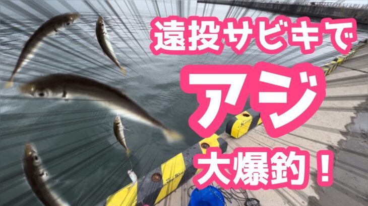 【釣り】初心者向け！遠投サビキでアジ釣りを楽しもう！【爆釣】