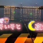 夜の幸せな釣りライフ！回遊待ちわびた瞬間と極上の刺身＆アヒージョに夫婦夢中。