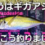 【アジング】堤防から一発大物ギガアジ狙い。これ投げてこう誘ってみました