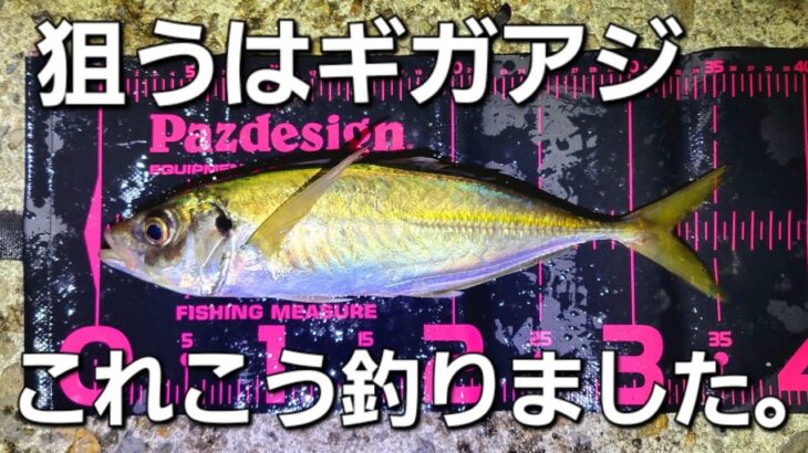 【アジング】堤防から一発大物ギガアジ狙い。これ投げてこう誘ってみました