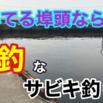 空いてる埠頭なら爆釣なサビキ釣り 衣浦湾