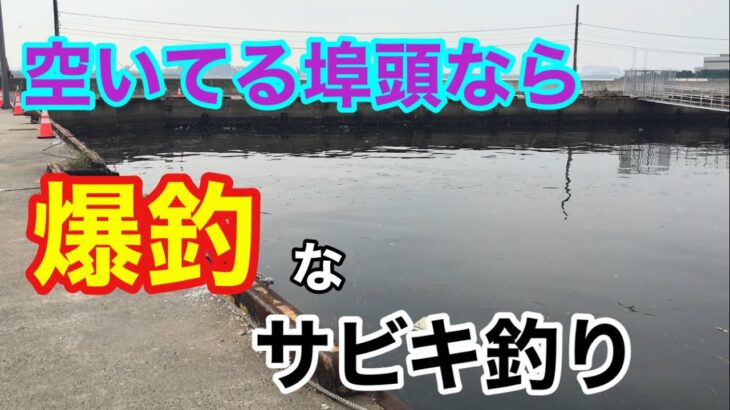 空いてる埠頭なら爆釣なサビキ釣り 衣浦湾