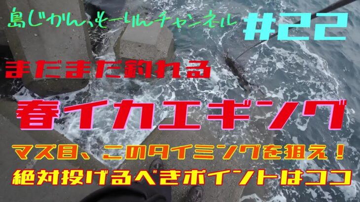 【エギング】まだまだ釣れる、ここを狙え！春イカエギング終盤戦