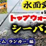 水面変化を読む！トップウォーターシーバス！ – デイゲーム ランカー 編 – 東京湾奥河川