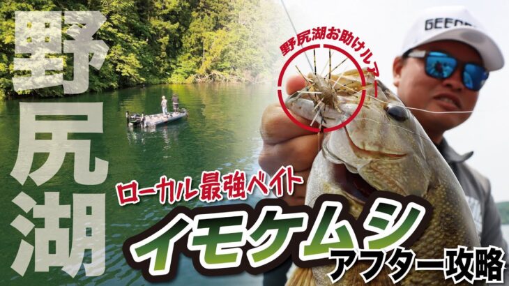 【バス釣り】ローカル最強ベイト！野尻湖のスモールマウスをイモケムシで狙う！