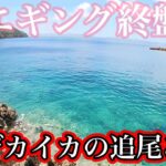 【エギング】チャンネル史上最大のアオリイカを釣り上げた！！