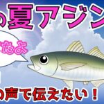 【夏アジングの極意】復活！アジングの魅力を直接伝えたい！