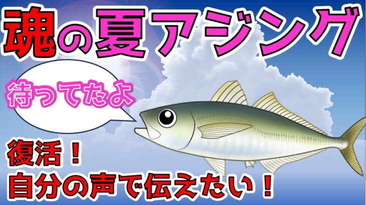 【夏アジングの極意】復活！アジングの魅力を直接伝えたい！