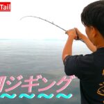 【ジギング】大潮の海で真鯛・青物・根魚釣りまくります！