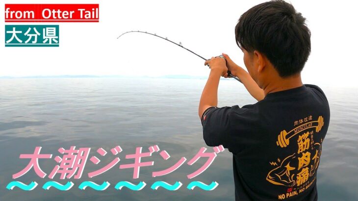 【ジギング】大潮の海で真鯛・青物・根魚釣りまくります！