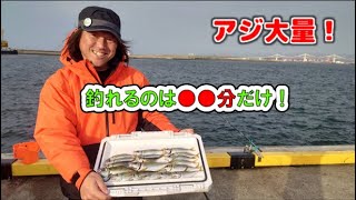 【サビキ釣り爆釣】アジが釣れる時間を知らないとボウズ有り得ます　小名浜港のシビアなアジ達