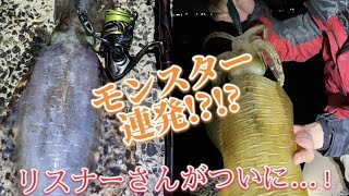 【エギング】場所と時合が重要！アオリイカの釣り方を説明すると初キロアップゲット！！