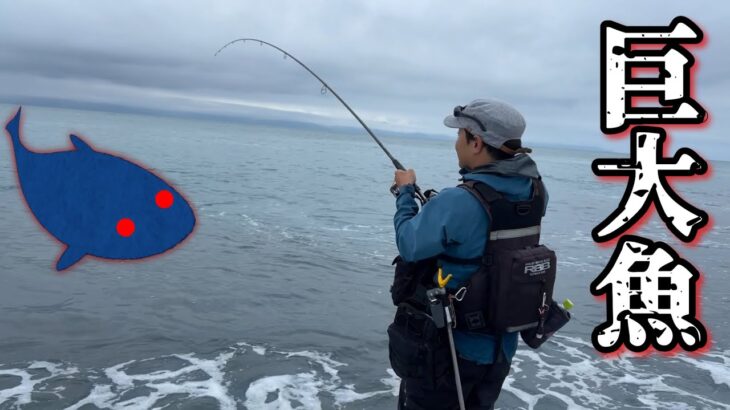 【サーフ】小魚が跳ねてる所にワーム投げたら衝撃の魚だった【メメタァ】