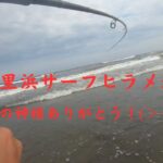 九十九里浜サーフヒラメ！連発！高活性！海の神様ありがとう！(＞＜)