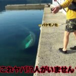 バケモノ潜む沈没船の近くでエギングロッド限界のパワーを持つ魚が釣りあがった