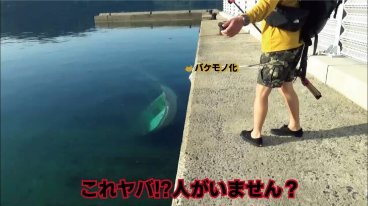 バケモノ潜む沈没船の近くでエギングロッド限界のパワーを持つ魚が釣りあがった