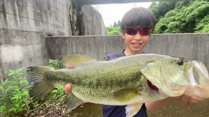 【大分県でブラックバス】釣りキチ小学生にデカバスが釣れました