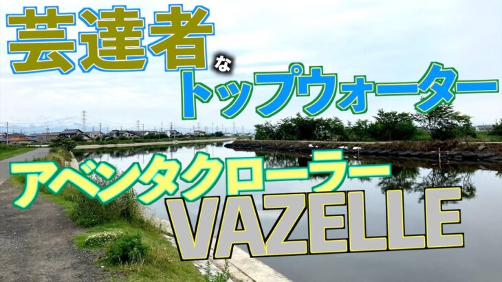 まさかの連発！！ トッププラグに悪魔的カラーが存在した(大江川五三川、梅雨初夏、バス釣り)