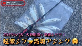 超激シブの大阪湾奥エリアでアジング やってみたのだ🫤