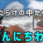 バットコンディションも味方に！鹿島灘サーフ鮃チャレンジ