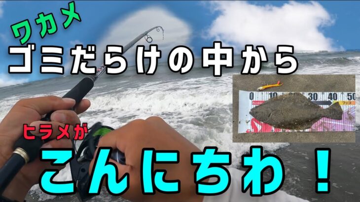 バットコンディションも味方に！鹿島灘サーフ鮃チャレンジ