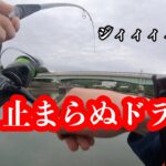 初夏の河川にシーバス狙いに行ったら…【シーバス】