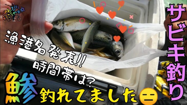 〚周防大島〛今、アジ＆サバ釣れてます😑釣れてるのは○○港で釣れる時間帯は??