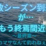 【外房キャスティング＆ジギング】春のデカマサは夢だった…(´；ω；`)ｳｯ…