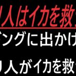 釣り人は海にイカ釣りに【エギング/釣れてって】