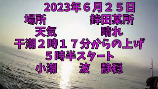 【釣り　ルアー】久しぶり～の鉾田釣行！#茨城県 #鉾田市 #鹿島灘