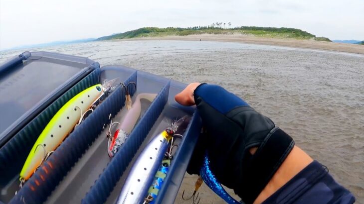 【サーフ】高級魚が連チャン、ゴロタ石からは超高級魚も…刺身が別格すぎた！