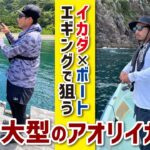 大型のアオリイカを狙うイカダ×ボートエギング～三重県 方座浦～