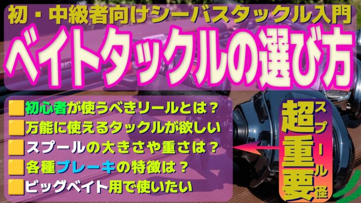 シーバスに使えるベイトタックルの選び方を初・中級者向けに解説