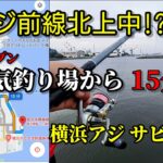 【サビキ釣り】ついに来たのか!?横浜のアジ‼噂の大人気釣り場の混雑時はここで!!豆アジ前線が横浜まで⁉杉田臨海緑地公園でのアジ釣りです‼