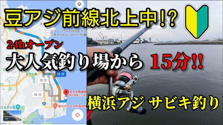 【サビキ釣り】ついに来たのか!?横浜のアジ‼噂の大人気釣り場の混雑時はここで!!豆アジ前線が横浜まで⁉杉田臨海緑地公園でのアジ釣りです‼