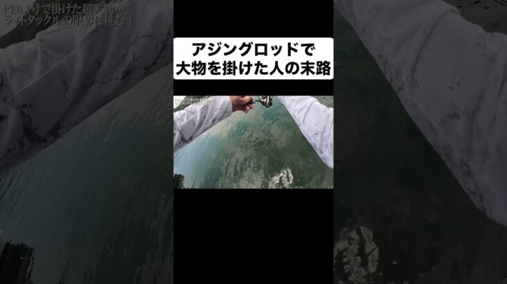 「掛けたら獲る！」アジングロッドの限界に挑む釣りプロの意地‼️