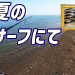 サーフからサビキ釣りデカアジ大漁です!!