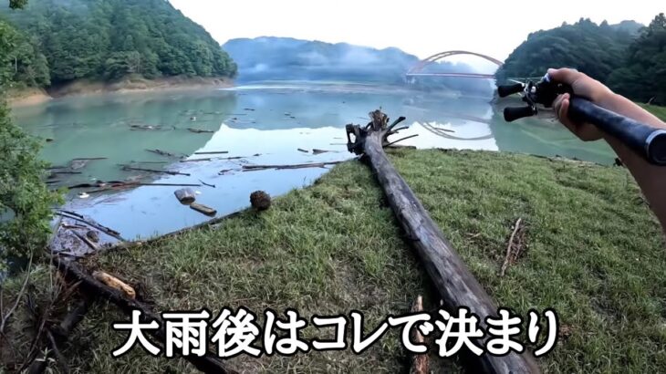 雨後で濁った時はコレ投げて巻いてください