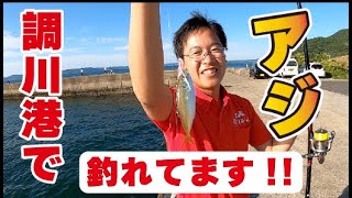 調川港でサビキ釣り!!【つり具のまるきん釣り情報】