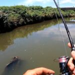 流れの当たる草むらにワームを落とすと…