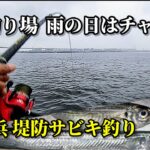 【魚釣り】雨の人気釣り場で、アジ狙いのサビキ釣り‼ガラ空きの横浜、チャンス有り!?