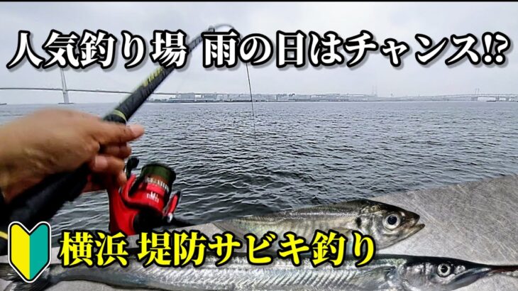 【魚釣り】雨の人気釣り場で、アジ狙いのサビキ釣り‼ガラ空きの横浜、チャンス有り!?